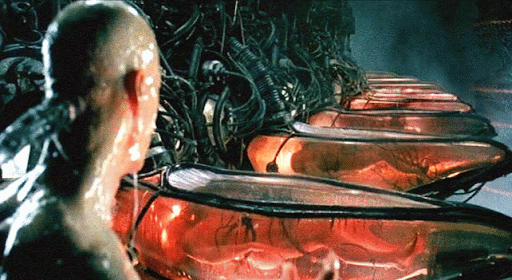 unnamed.gif