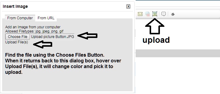 Upload picture Button.JPG