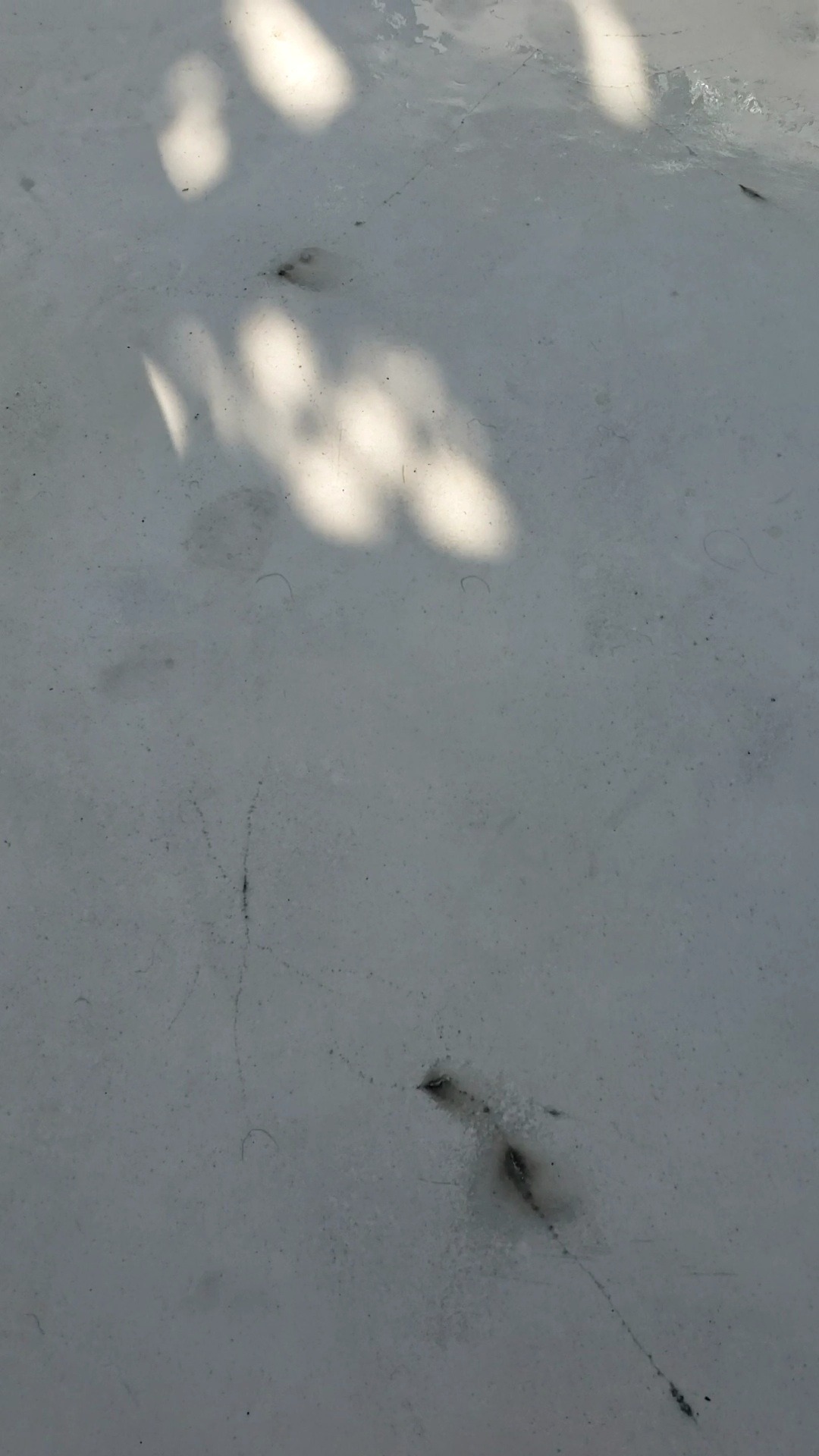 VideoCapture_20240116-100925.jpg