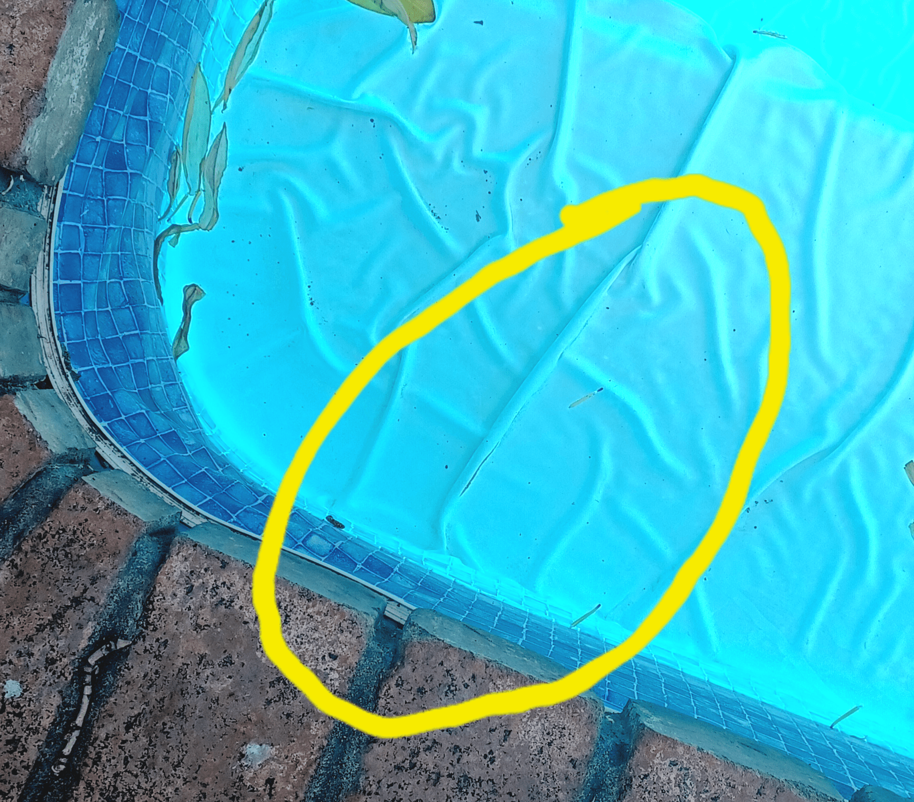 Vinyl tear.png