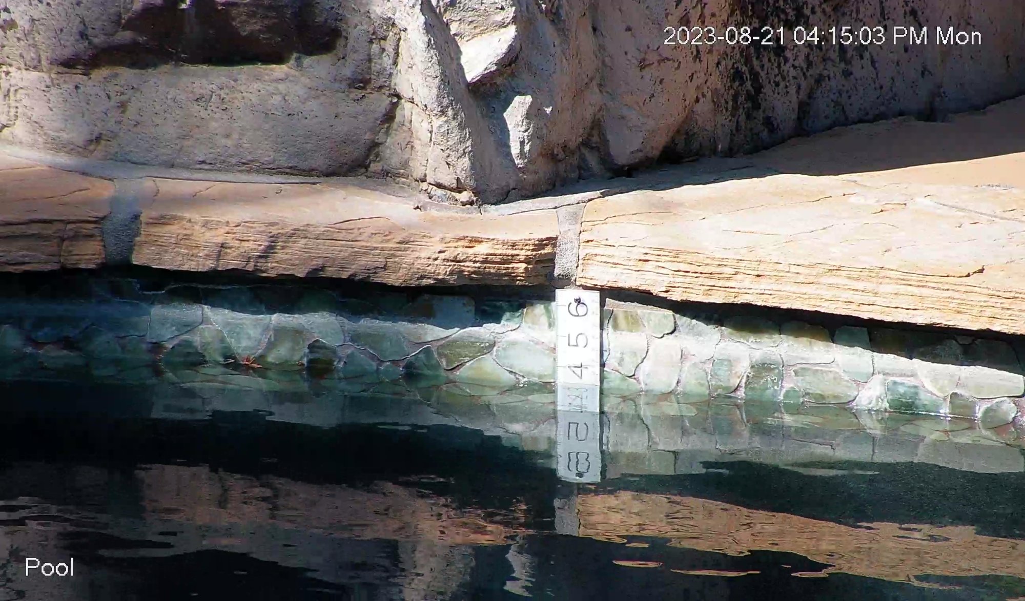 water level ruler 2.jpg