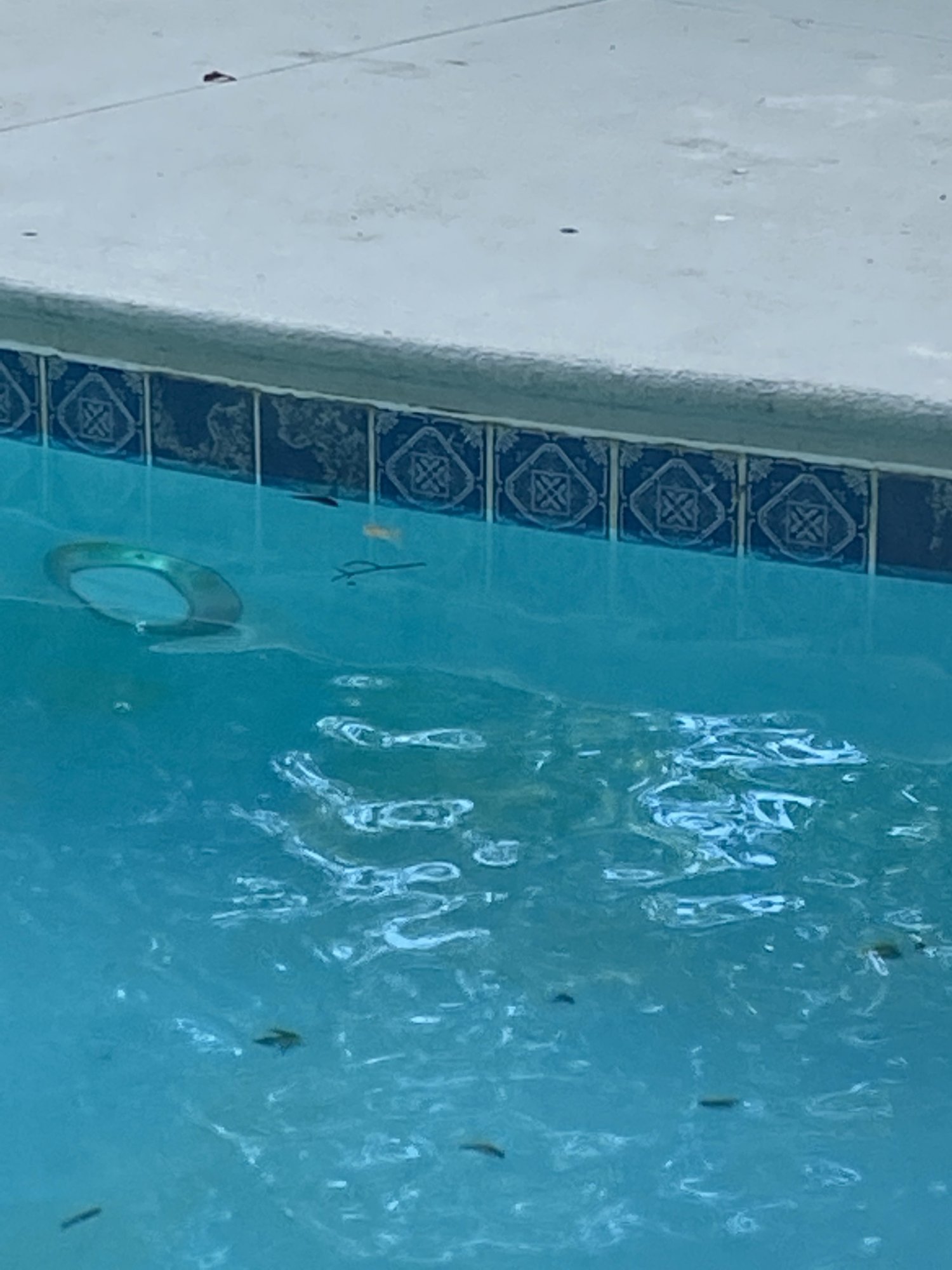 water should be 1:2 on tile.jpeg