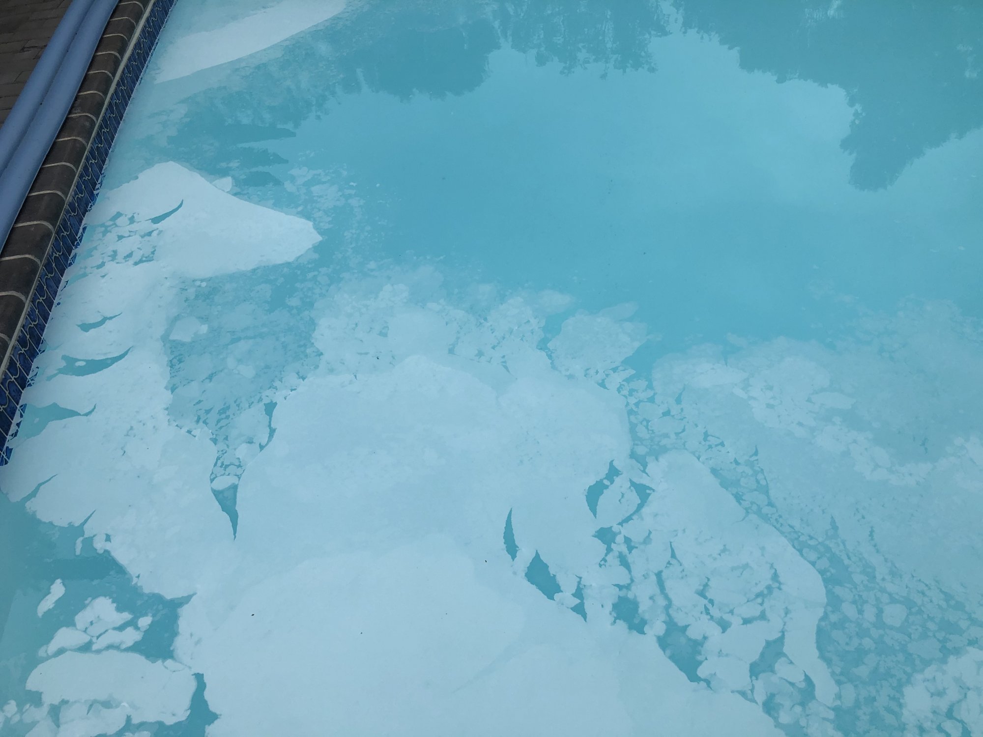 white sudsy foamy like film.jpg