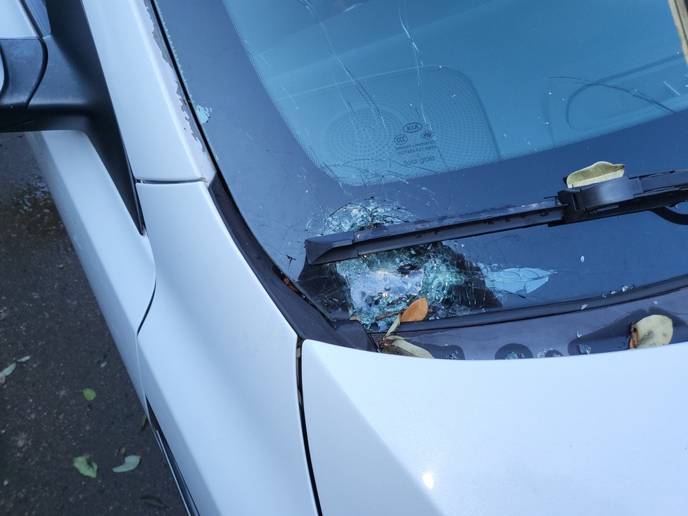 windshield.jpg