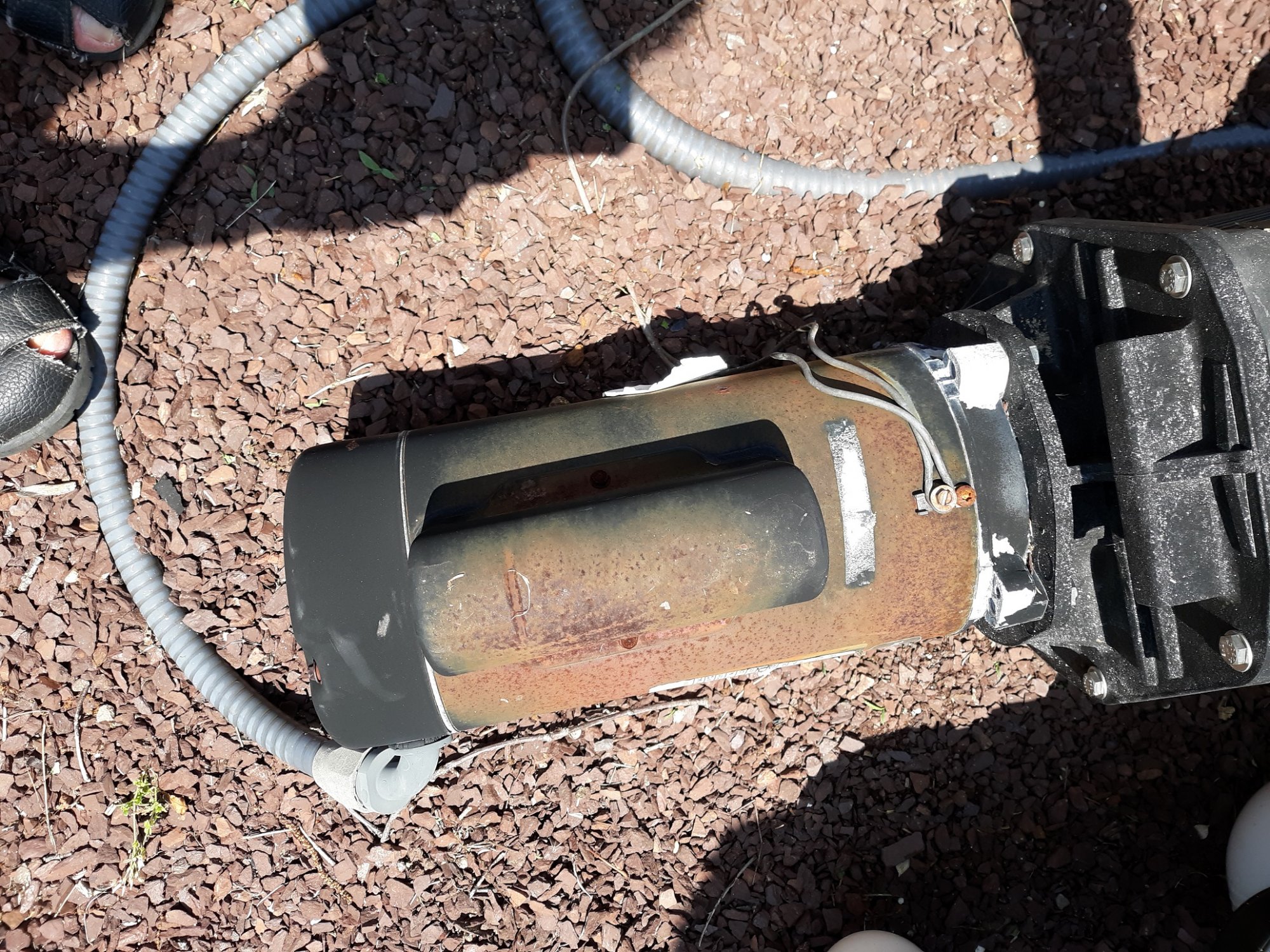 WITH_OLD_MOTOR_IN_CITU.jpg