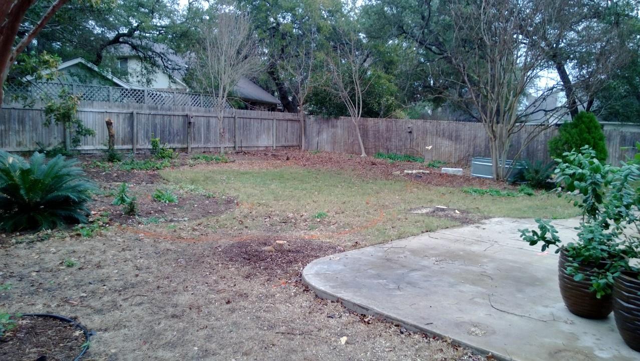 WP_20130220_006.jpg
