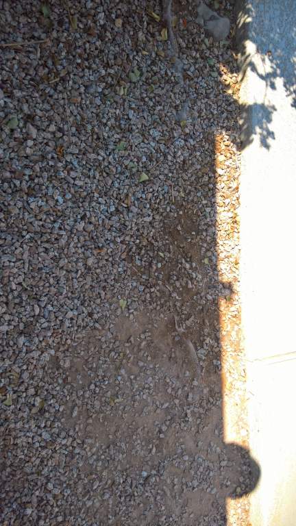 WP_20170912_10_09_31_Pro.jpg