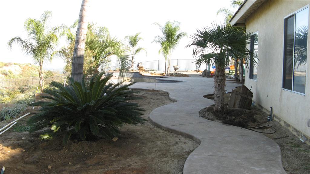 Yard1 (Large).JPG