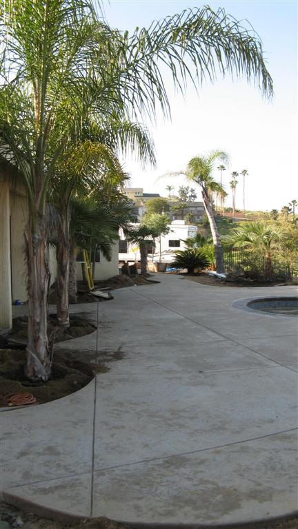 Yard3 (Large).JPG