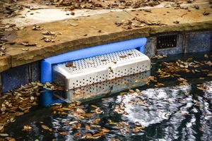 skimmer