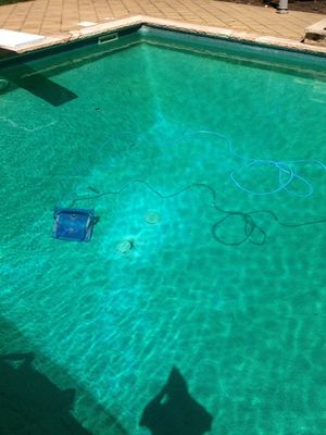 Can You Swim After Adding Ascorbic Acid