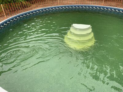 Iron in Water Green Pool.jpg